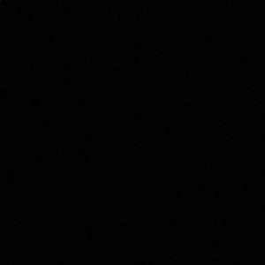 Meet your Posher, Corbin